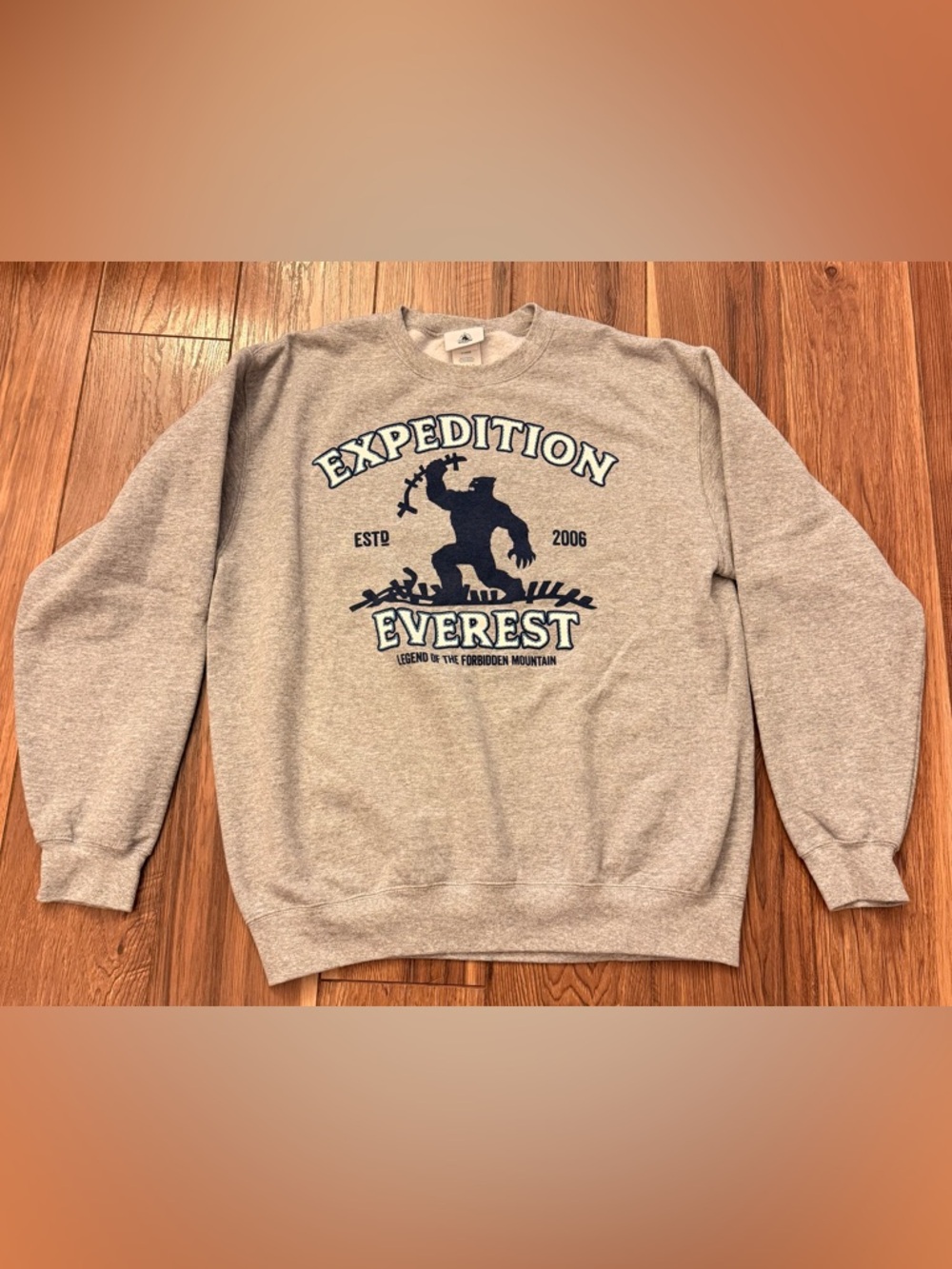 Disney Gray Crewneck Sweatshirt with Navy Expedition Everest Graphic